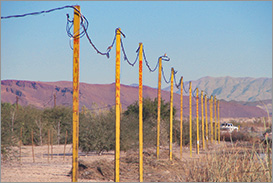 Temporary Power Poles